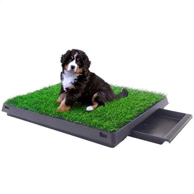 Hondentoilet  Kunstgras met Bak - Indoor Dierentoilet - Uitneembare Opvangbak - Puppy Training Pets - Outdoor/Balkon/Tuin/Indoor Toilet - 50x64 cm