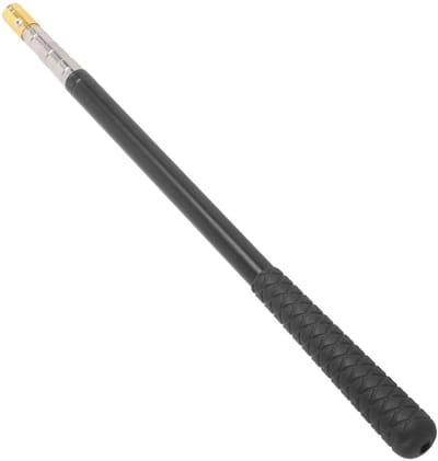Dailygoods- Visnet Telescopisch 5 Secties - Schepnet - Hengelsport - Vouwen - RVS - Versterk je lichaam en beleef plezier - Hengel