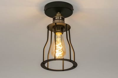 Lumidora Plafondlamp 73493 - Plafonniere - RIEK - E27 - Zwart - Goud - Messing (kleur) - Metaal - ⌀ 15 cm