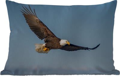 Buitenkussens - Tuin - Vogel - Arend - Roofvogels - 50x30 cm