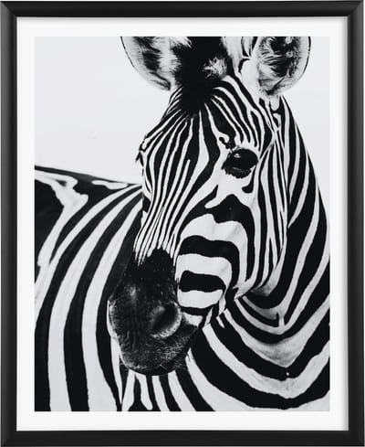 Goldbuch - Fotolijst Alluminio - Zwart - 20x25 cm