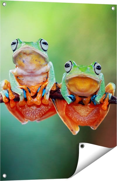 Gards Tuinposter Twee Boomkikkers op een Tak - 60x80 cm - Tuindoek - Tuindecoratie - Wanddecoratie buiten - Tuinschilderij