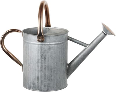 Gieter IJzer - Waterkan Planten - Binnen Buiten - Lange Smalle Tuit - 4L 5L - Zwart