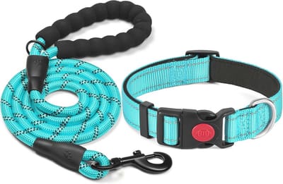 haapaw Hondenhalsband, reflecterend, gewatteerd, met zacht neopreen, ademend, verstelbaar, nylon, voor kleine - ShopVlot