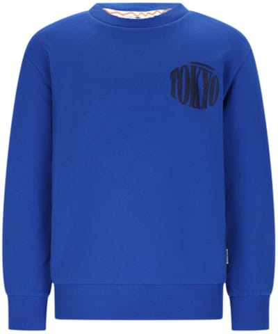 Moodstreet-Jongens SIMON mount FUJI sweater-Japan Sea