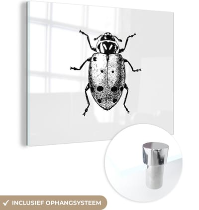 MuchoWow® Glasschilderij 40x30 cm - Schilderij acrylglas - Vintage - Lieveheersbeestje - Insecten - Zwart wit - Foto op glas - Schilderijen