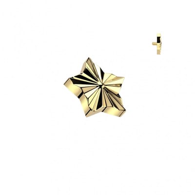 Dermal top ster gegraveerd 1.6mm goud - LMPiercings