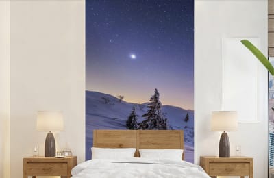 Behang - Fotobehang Winter - Sneeuw - Nacht - Bomen - Breedte 120 cm x hoogte 240 cm