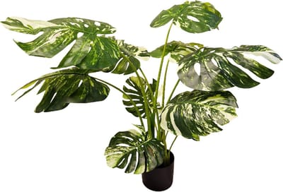 Kunst Monstera Variegata | 80cm - Namaak monstera - Kunstplanten voor binnen - Kunstplant monstera