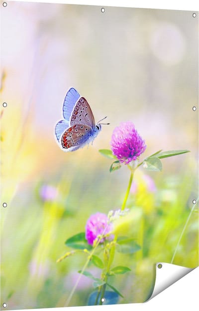 Gards Tuinposter Blauwe Vlinder bij een Paarse Bloem - 90x120 cm - Tuindoek - Tuindecoratie - Wanddecoratie buiten - Tuinschilderij