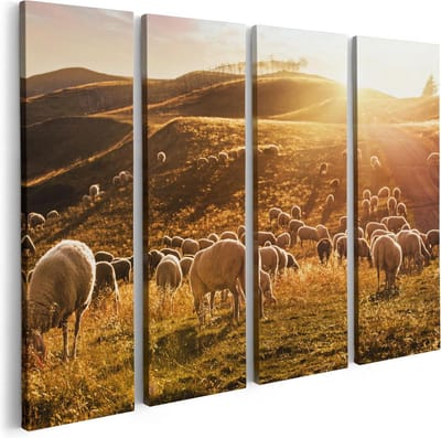 Artaza Canvas Schilderij Vierluik Schapen in de Heuvels bij Zonsondergang - 80x60 - Foto Op Canvas - Canvas Print