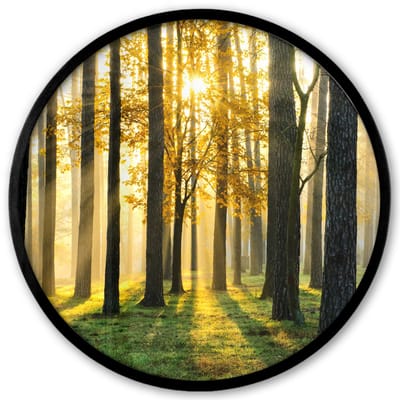 Poster in lijst Rond - Fotolijst 40x40 cm - Posters - Bos - Zon - Bomen - Gras - Landschap - Natuur - Ronde posterlijst zwart - Decoratie - Wanddecoratie woonkamer - Muurdecoratie slaapkamer
