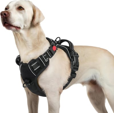 JAXY Hondenharnas - Hondentuig - Hondentuigje Kleine Hond - Y Tuig Hond - Harnas Hond - Anti Trek Tuig Hond - Reflecterend - Maat L - Zwart