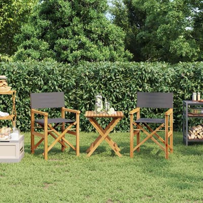 vidaXL - Regisseursstoelen - inklapbaar - 2 - st - massief - teakhout - grijs