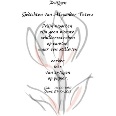 Zwijgen - Alexander Peters