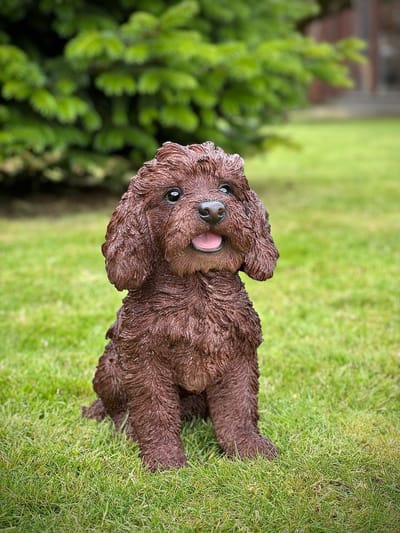 Labradoodle bruin levensecht 31 cm hoog - polyester - polystone - beeld - tuinbeeld - hoogkwalitatieve kunststof - decoratiefiguur - interieur - accessoire - voor binnen - voor buiten - cadeau - geschenk