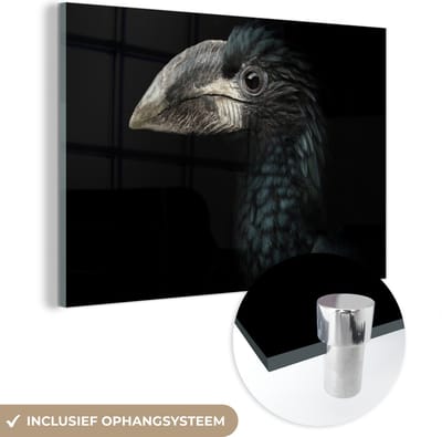 MuchoWow - Glasschilderij - Foto op glas - Acrylglas - Neushoornvogel - Dier - Snavel - Zwart wit - Vogel - 150x100 cm - Schilderij glas - Glasschilderij vogels - Glasschilderij zwart wit