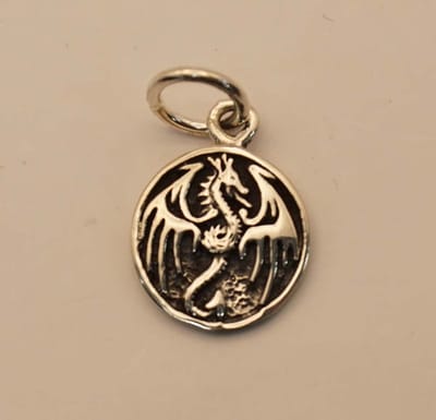 Sterling zilveren hanger draak op rond schild - leuke kleine draken hangertje van 925 zilver - fantasie dieren zilveren hanger - dragon pendant silver - zilveren bedel fantasie wereld - heren en dames zilveren hangers
