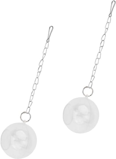 Vogel Voerballen - Voer Dispenser - Vogels Trainen - Transparant Design - 6 Stuks - Wit