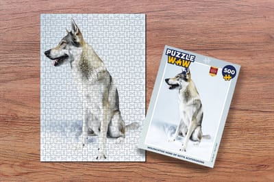 Puzzel Wolfachtige hond op witte achtergrond - Legpuzzel - Puzzel 500 stukjes