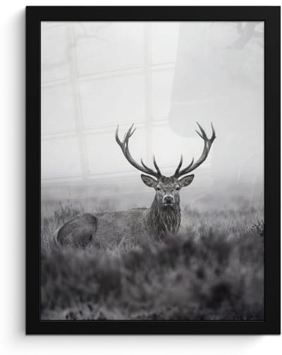 Poster in lijst - Fotolijst 30x40 cm - Posters - Hert - Mistig - Zwart - Wit - Posterlijst zwart - Decoratie - Wanddecoratie woonkamer - Muurdecoratie slaapkamer