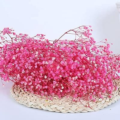 Gedroogde Bloemen - Natuurlijke Decoratie - Huis Aankleden - Langdurig Mooi - 30-55cm - Roze
