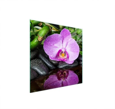 TMK ArtDeko - Glasplaat Bescherming Fornuis - 50x52 cm - Orchidee - Hard Glas - Multifunctioneel
