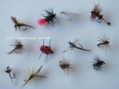 Vliegvis Droge Vliegen - Vliegen Set - Forel Vissen - Scherpe Haken - Maat 18-20 - Wit