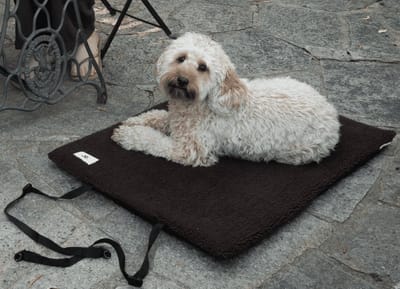 Reiskleed teddy chocolate L - Hondenkleed - Kleedje - Kussen hond - Deken hond - Mat hond - Hondenkussen - Hondenkleed auto achterbank - Hondenkleed bank - Kleed hond - Teddy - Trimmi