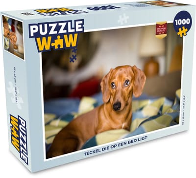 Puzzel Teckel die op een bed ligt - Legpuzzel - Puzzel 1000 stukjes volwassenen