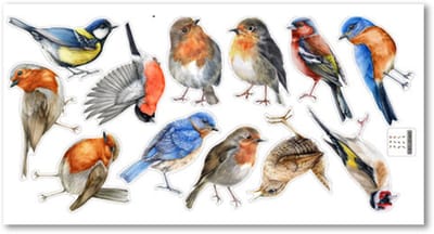 longziming 12 stuks Dubbelzijdige Vogel Raamstickers - Kleurige PVC Raamdecoratie - Elektrostatisch - Verwijderbaar - Anti-botsing - Vogelbescherming