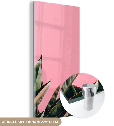 MuchoWow® Glasschilderij 20x40 cm - Schilderij acrylglas - Planten - Bladeren - Vrouwentong - Roze - Tropisch - Foto op glas - Schilderijen