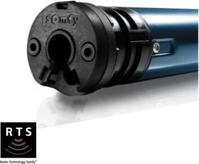 Somfy 6/17 Altus 50 RTS Roundhead buismotor