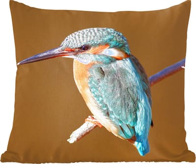 Sierkussens - Kussentjes Woonkamer - 60x60 cm - IJsvogel - Takken - Kleurrijk