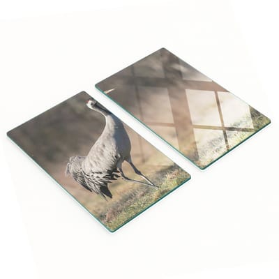 Multifunctionele decoratieve snijplanken voor de keuken, gehard glas, Czapla, 2x30x52 cm