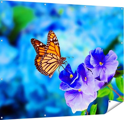 Gards Tuinposter Oranje Vlinder bij Paarse Bloemen - 150x120 cm - Tuindoek - Tuindecoratie - Wanddecoratie buiten - Tuinschilderij