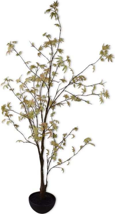Silk-ka Kunstplant voor Binnen Groen 170 cm
