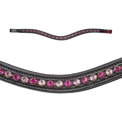 Frontaal voor paard Kieffer Collection