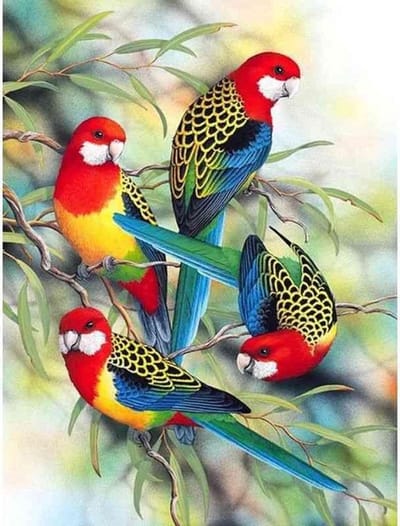 Diamond painting - Kleurrijke vogels - Geproduceerd in Nederland - 40 x 60 cm - canvas materiaal - vierkante steentjes - Binnen 2-3 werkdagen in huis