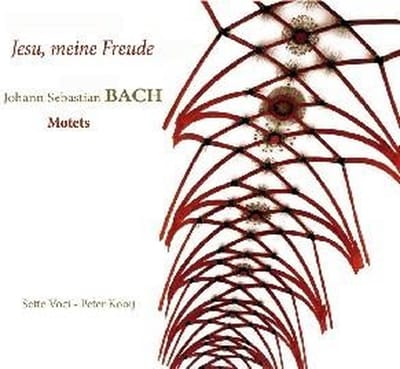 Peter+Sette Voci Kooij - Jesu Meine Freude/Motets (CD)