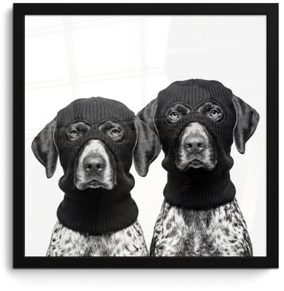 Poster in lijst - Fotolijst 40x40 cm - Posters - Honden - Bivakmuts - Zwart - wit - Posterlijst zwart - Decoratie - Wanddecoratie woonkamer - Muurdecoratie slaapkamer