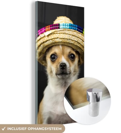 MuchoWow® Glasschilderij 20x40 cm - Schilderij acrylglas - Hond - Sombrero - Zwart - Foto op glas - Schilderijen