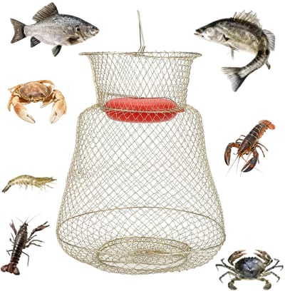 Dailygoods- Visnet Robuust Ontwerp - Opvouwbare Vismand - Draagbare Viskooi - Roestvrij Staal - Drijvende Kom - Afmetingen 33 x 33 x 40 cm - Vissengerei