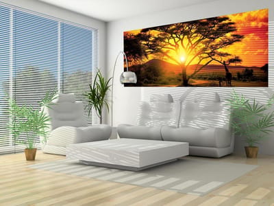 Sunset Africa Nature Tree Photo Wallcovering