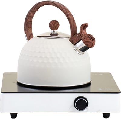 Waterkoker Fluitketel - Theepot RVS - Snel Water Koken - Ergonomisch Handvat - 25 Liter Inhoud - Bruin