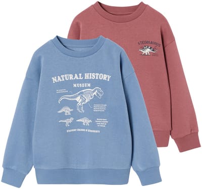 Vertbaudet Set van 2 sweaters "Cool and Fun"