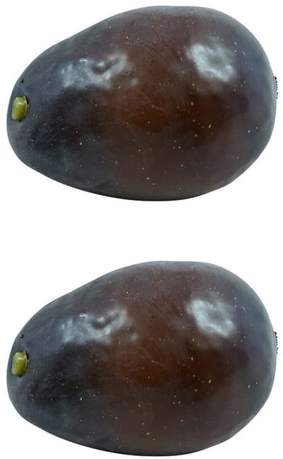 Namaak kunst Avocado – 2 stuks – Realistische Kunstfruit Decoratie