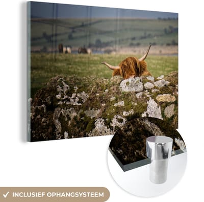 MuchoWow® Glasschilderij 120x80 cm - Schilderij acrylglas - Schotse Hooglander - Stenen - Gras - Foto op glas - Schilderijen