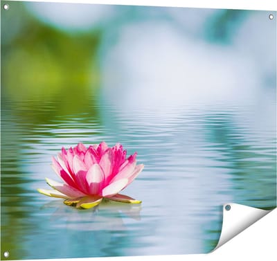 Gards Tuinposter Roze Lotusbloem op het Water - 100x80 cm - Tuindoek - Tuindecoratie - Wanddecoratie buiten - Tuinschilderij