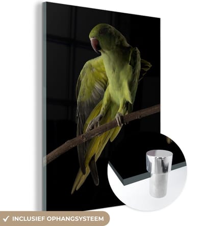 MuchoWow® Glasschilderij 120x160 cm - Schilderij acrylglas - Papegaai - Vogel - Tak - Foto op glas - Schilderijen